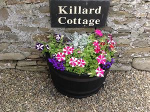 Killard Cottage